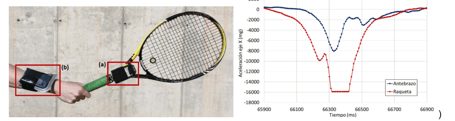 Tennis and padel - Sensor Sport LAB