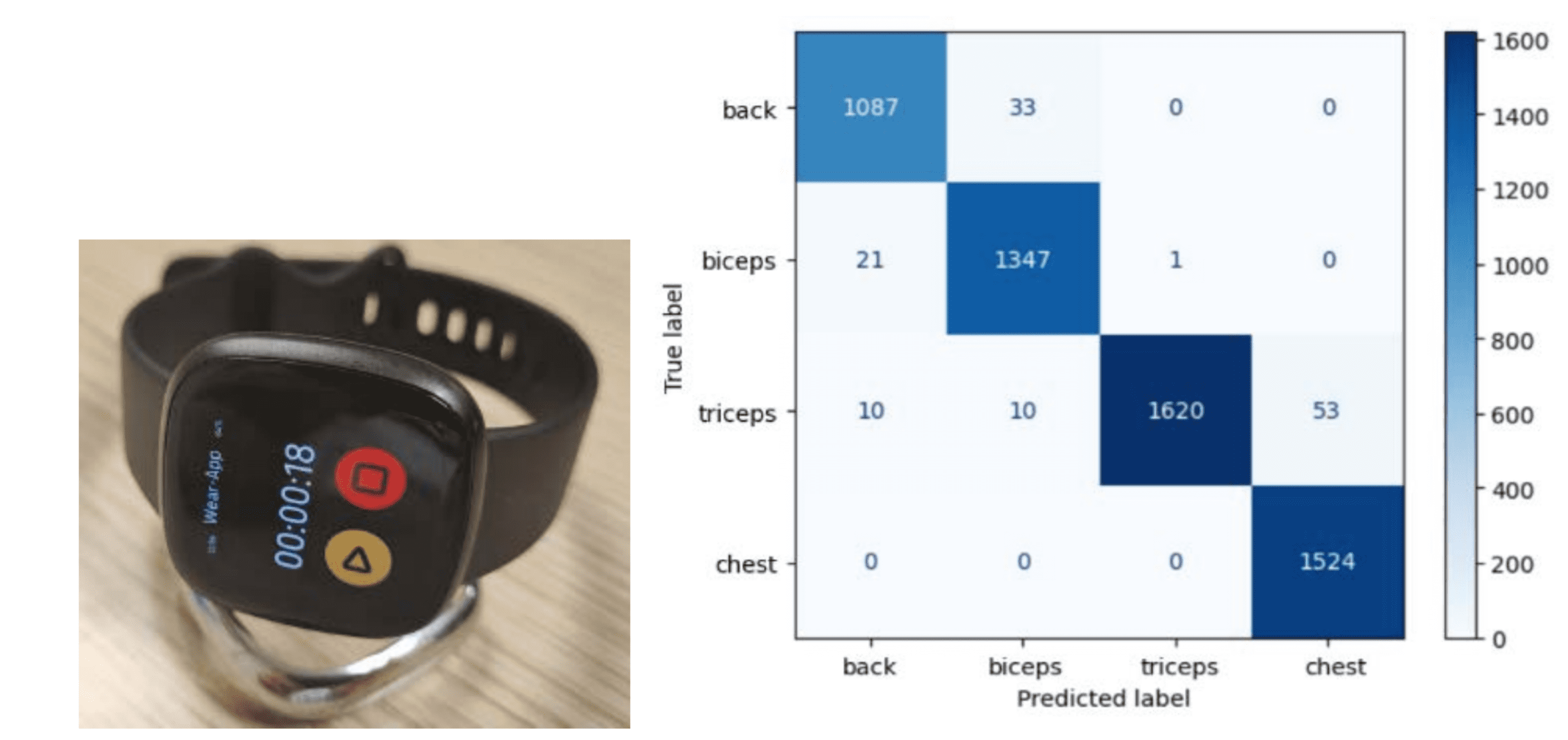Trabajo De Fuerza- strenght